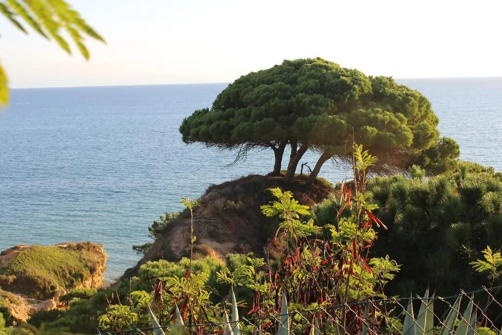 Alfagar Village Albufeira Aparthotel